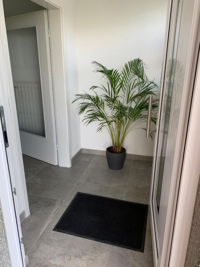 Feldquartier Daire Grebenstein Dış mekan fotoğraf
